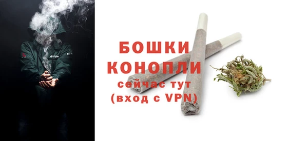 сатива Белоозёрский