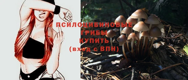 каннабис Белокуриха