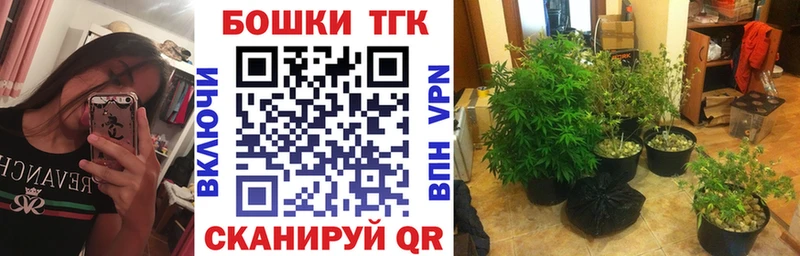 Конопля план Галич